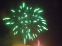 bild (41)